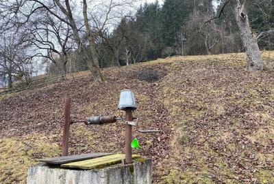 Casă cu 3 camere cu Teren 7100 Mp în Roșeni - 6