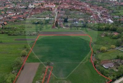 Teren agricol extravilan de 25100 mp, în Prejmer - 4