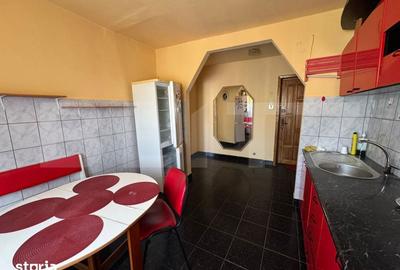 Apartament cu 2 camere semidecomandat în Gojdu - 13