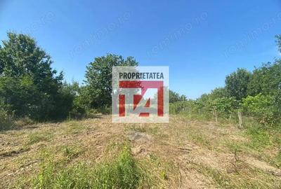 Casă cu Teren 2334 Mp în Arduzel - 2