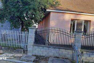 Casă cu 2 camere cu Teren 1000 Mp în Livada - 1