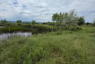 Teren de 6000 mp, în Central