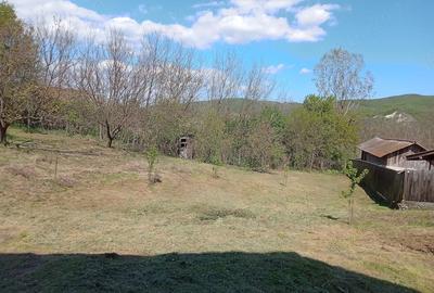 Casă cu 3 camere cu Teren 1860 Mp în Voluntari - 7