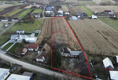 Casa de vanzare in Com Fratautii Noi - 1