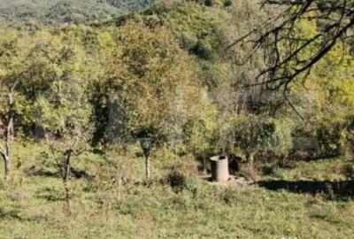 Teren de 2406 mp, în Central - 17