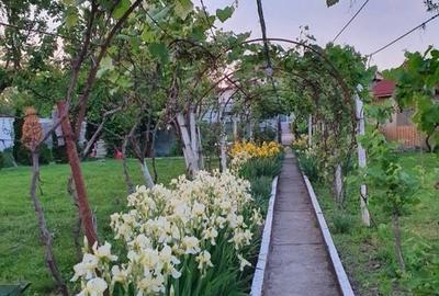 Casa | 9 camere | Garaj | Piscina | Teren 3.000 mp | Comision 0% Casa | 9 camere | Garaj | Piscina | Teren 3.000 mp | Comision 0% - 5