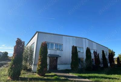 Hale industriale 2 x 1920mp DN1 de inchiriat la 3.9 euro mp neg. - 17