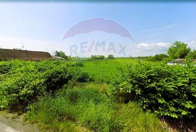 Teren intravilan 5,018mp Variasu Mare - 15 km de Arad/ str. Principala - 13