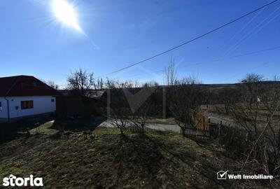 Teren de 800 mp, în Mănăstireni - 1