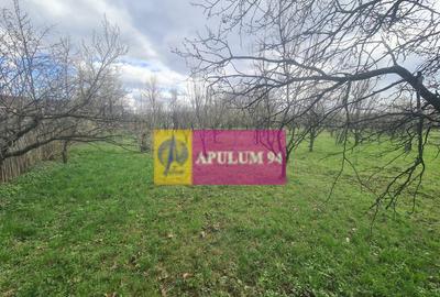 Teren de vanzare in Brebu - Zona Brebu Megiesesc - 12