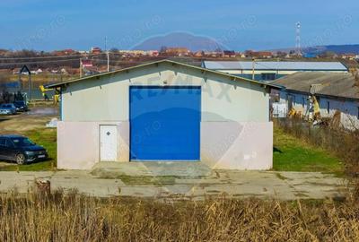 De inchiriat spa?iu pentru depozitare 300mp + curte 650mp Feldioara - 10