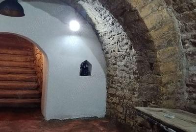 Spațiu comercial, de 45 mp, în Gară - 5