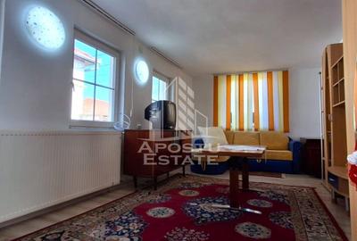 Casa de vanzare in Ineu formata din 2 cladiri - 34