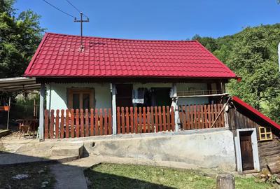 Vand casa +teren Sat Pestera Baita jud Hunedoara - 2
