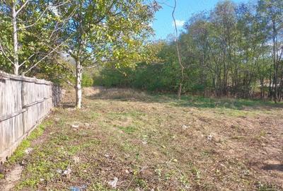 Teren de 7000 mp, în Drăgoești - 4