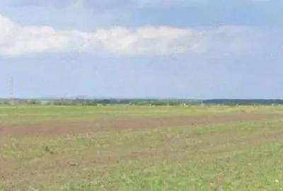 Teren extravilan Cocorastii Colt ; ID: R2710069 - 6