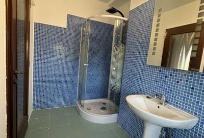 Casă individuală cu 10 camere cu Piscina în Dumbrăvița - 16