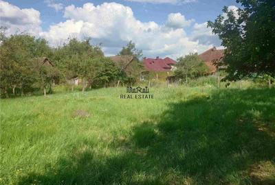 Casă cu 3 camere cu Teren 1567 Mp în Baia de Criș - 6