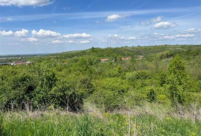 Teren Construcții extravilan de 8200 mp, în Central - 14