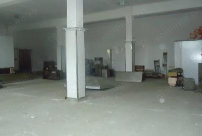 Hala depozitare / produc?ie, 10000 mp - 7