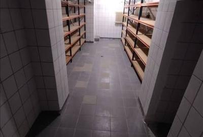 EXCLUSIV PIATA GRIVITEI SPATIU COMERCIAL D+P, SU 56 MP PRET.80 .000 EURO - 9