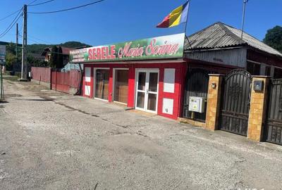 Spațiu comercial, de 47 mp, în Bascov - 1