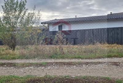 Teren Construcții intravilan de 760 mp, în Sud - 5