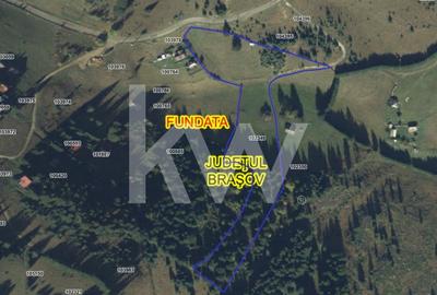 Teren Construcții intravilan de 18044 mp, în Fundata - 4