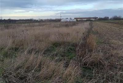 RECO Teren intravilan, Bors - 1