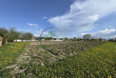 Teren 9500 mp plus Casa plus Anexe Gospodaresti - 7