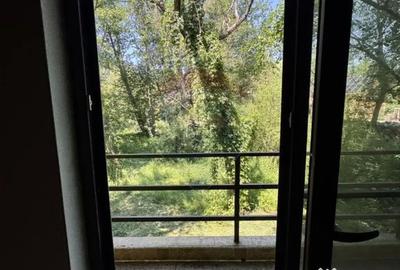 Casă cu 4 camere cu Teren 1300 Mp în Paltin - 7