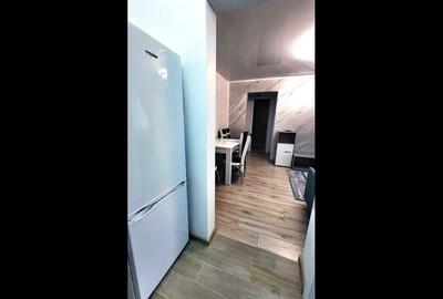 Apartament cu 2 camere semidecomandat, mobilat în Viziru 1 - 5