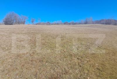 Teren intravilan, perfect pentru casa de vacanta, 5000 mp, A - 2