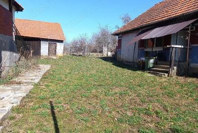 Casă cu Teren 6996 Mp în Cerișor - 6