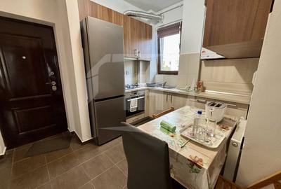 Apartament 2 camere in Plopilor - 8