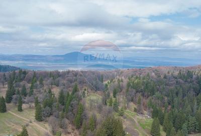 Teren Construcții intravilan de 1872 mp, în Poiana Brașov - 2