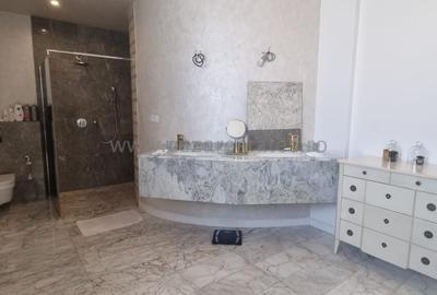 PIPERA IANCU NICOLAE VILA LUX RENOVATA COMPLET 2022 - 60