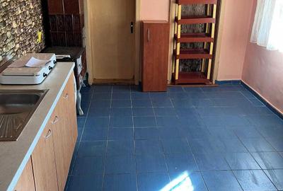 Casă cu 2 camere în Aghireșu - 4