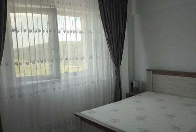 Apartament cu 2 camere semidecomandat în Valea Lupului - 4