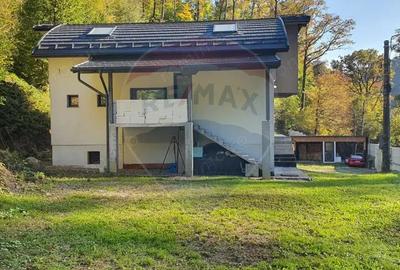 Proprietate exclusivista in Baia Mare - Valea Rosie, de vanzare - 9