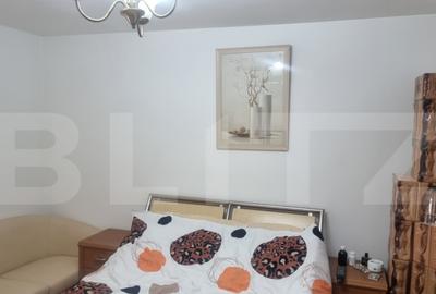 Proprietate deosebita cu teren generos, livada pe rod ?i - 14