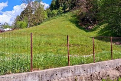 Teren Construcții intravilan de 1540 mp, în Lerești - 3
