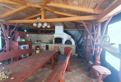 Proprietate finisata utilata (la cheie): Casa, Terasa, Carport Auto, Hala, Cladire, Teren 5755 mp - 5