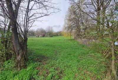 Teren casa intravilan deschidere 40m - 2650mp - 6