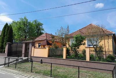 Casă cu Teren 3300 Mp în Bălaia - 7
