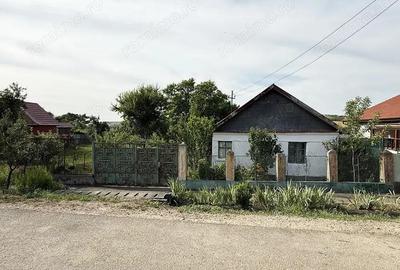 Casa taraneasca cu teren de 5500 mp. - Uileacu de munte - IMOBIHOR - 1