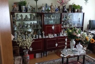 Apartament cu 2 camere decomandat în Prundu - 4