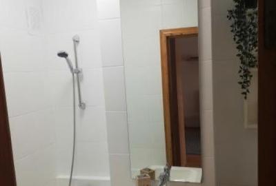 Garsoniera 32 mp/ Bd N Titulescu / zona Piata Victoriei - 5