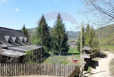 Casa de vancata Bucsoaia - 11