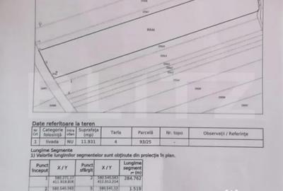 Teren de 11931 mp, în Vălenii de Munte - 3